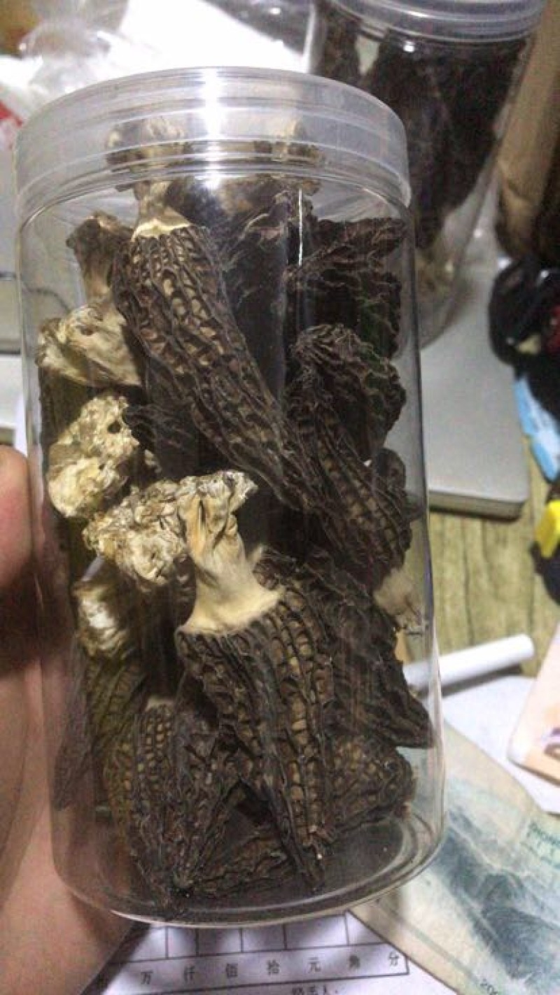 羊肚菌特级