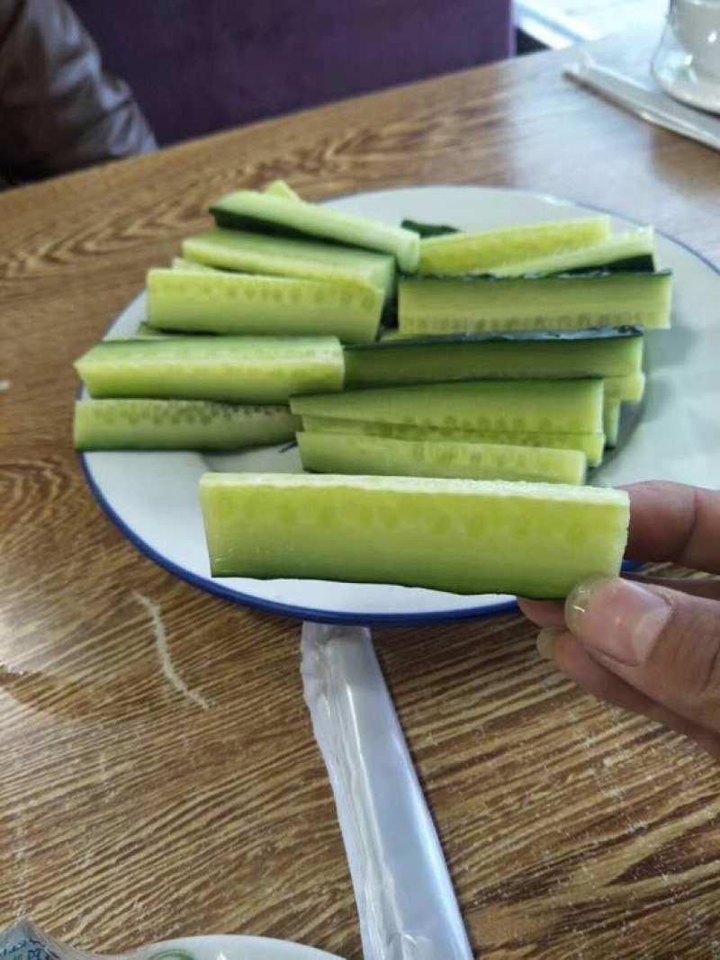 全雌黄瓜种子