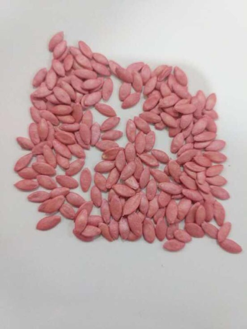全雌黄瓜种子