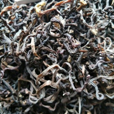 薇菜山野菜
