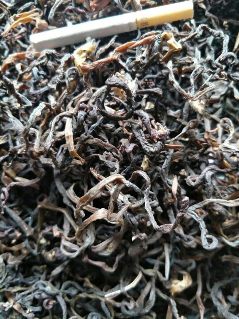 薇菜山野菜
