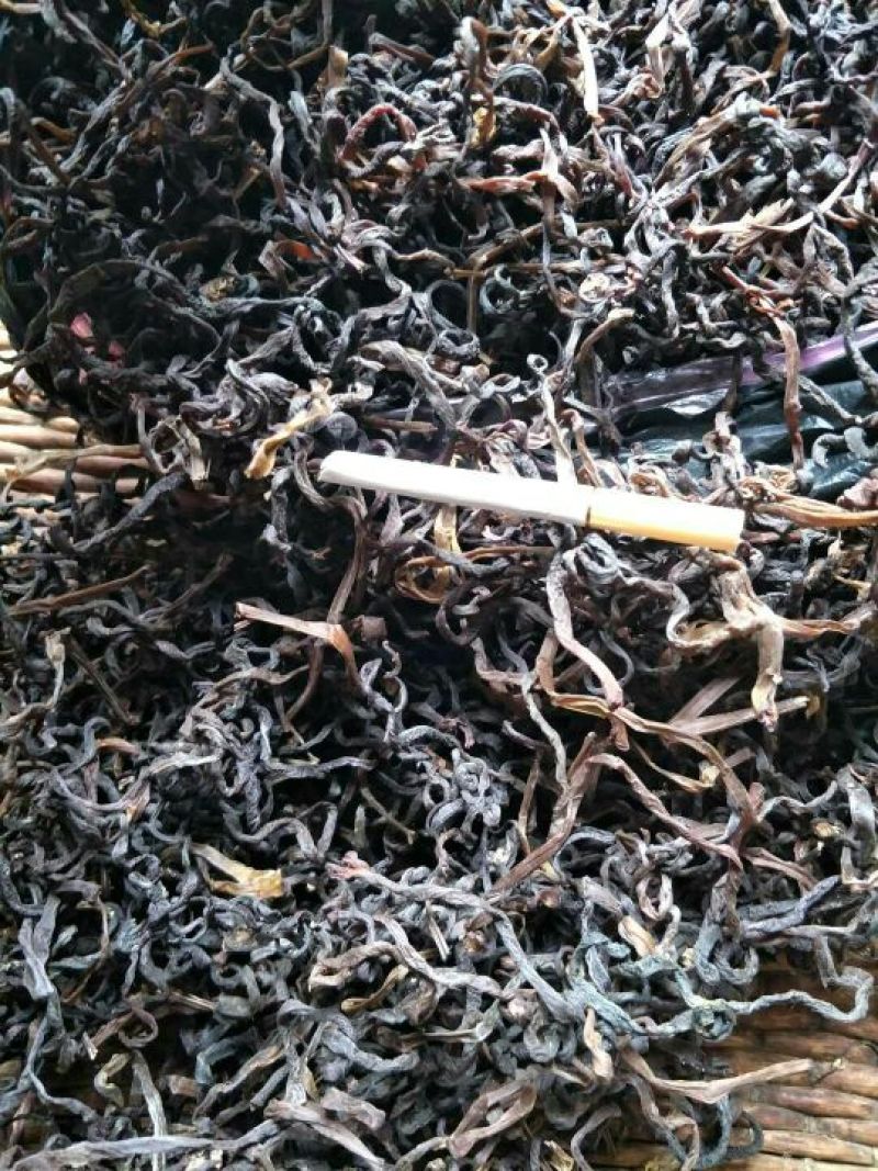 薇菜山野菜