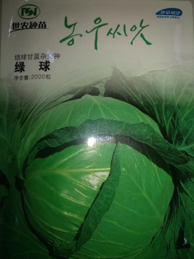 甘蓝种子