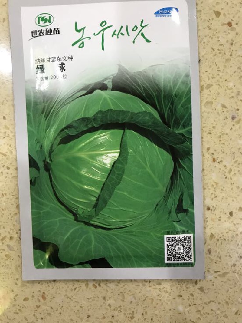 甘蓝种子