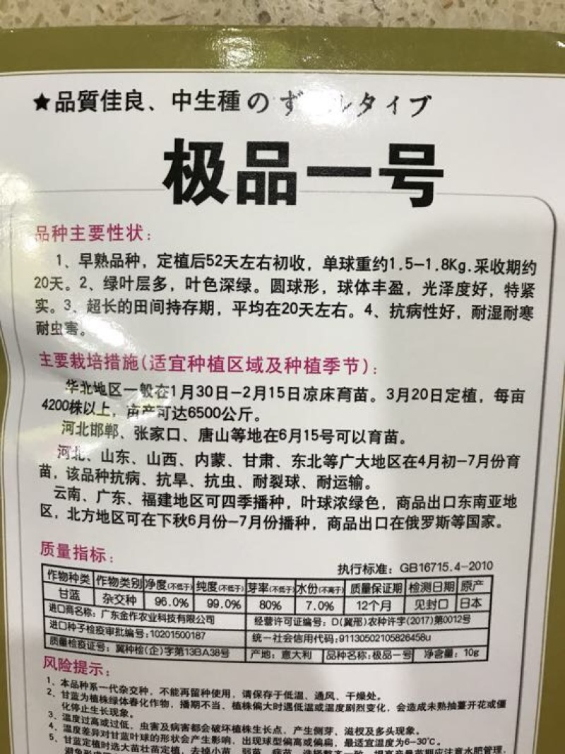 甘蓝种子