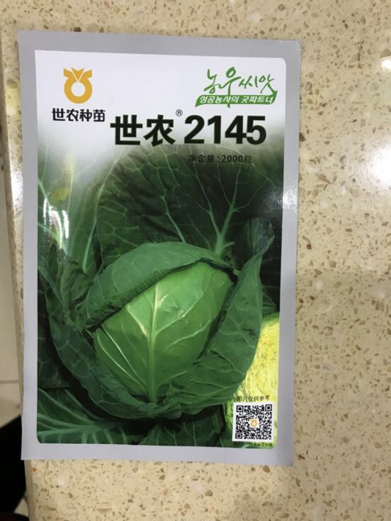 甘蓝种子
