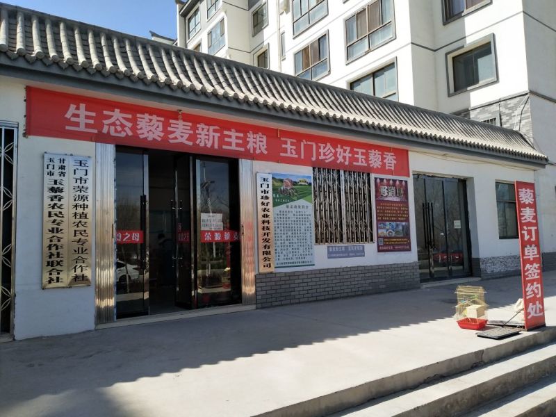 藜麦一级
