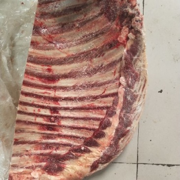 驴肉驴排