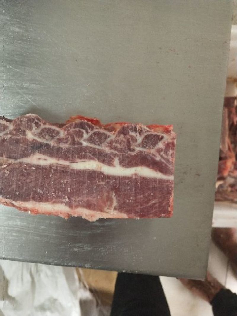 驴肉驴排
