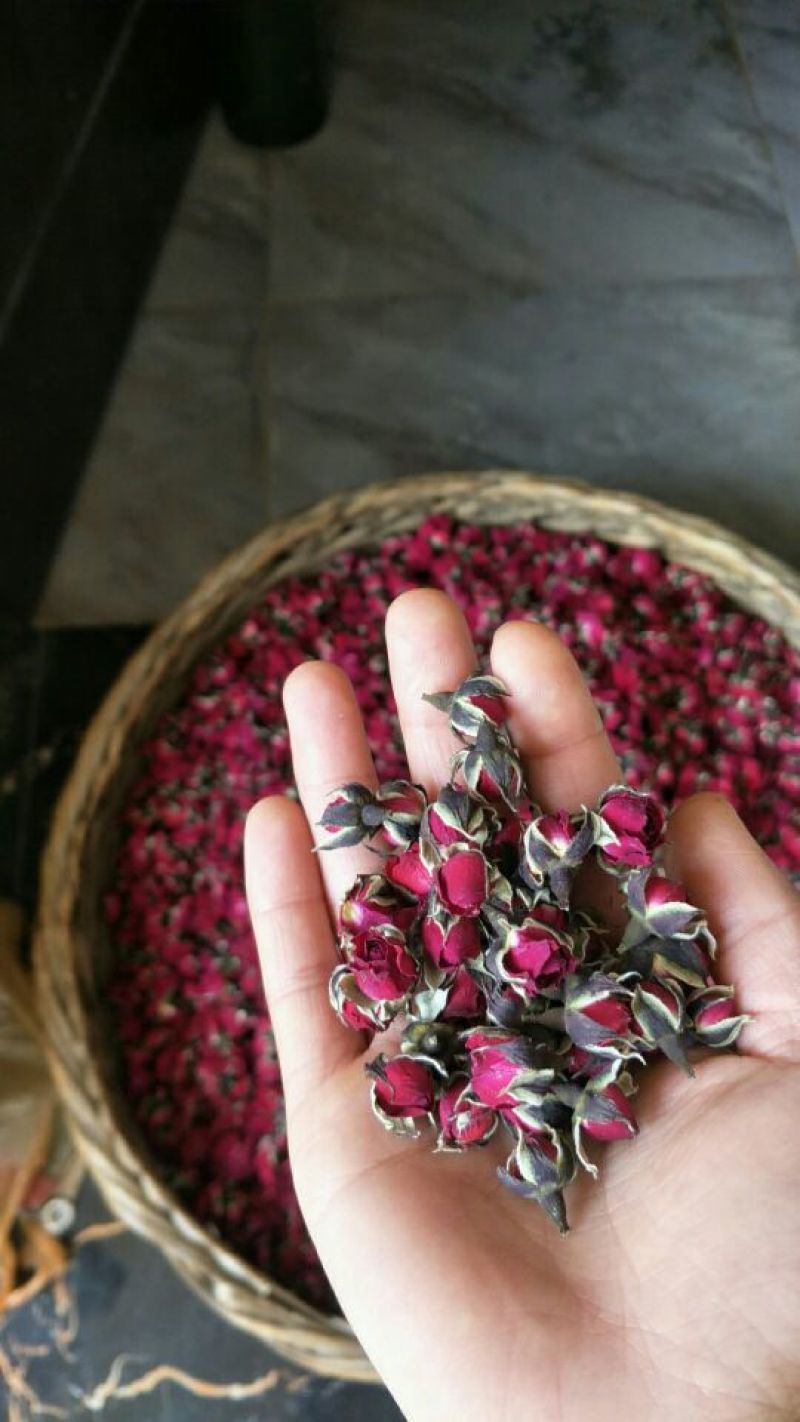 金边玫瑰花10~20cm