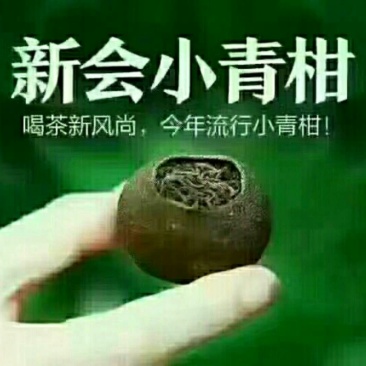 小青柑特级