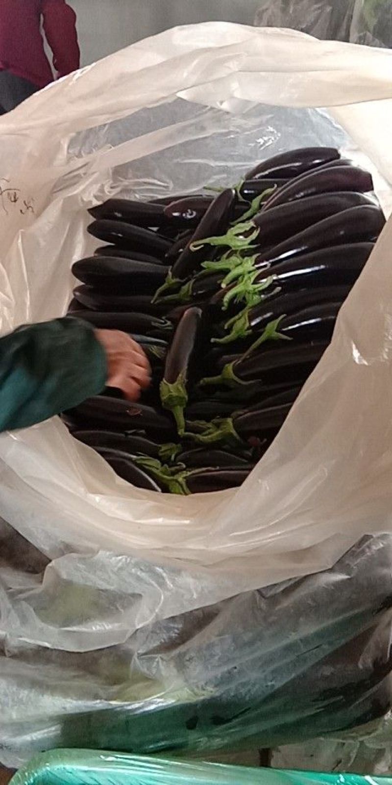 茄子765长茄3两以上