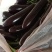 茄子765长茄3两以上