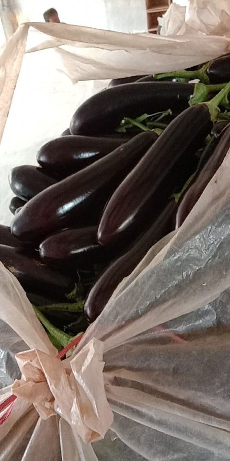 茄子765长茄3两以上
