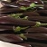 茄子765长茄3两以上