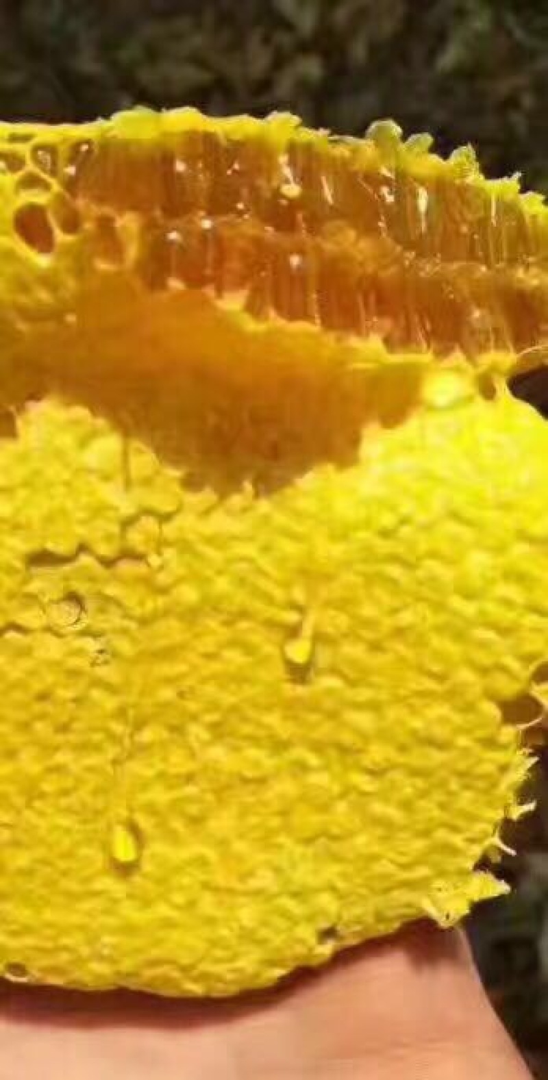 百花蜜1斤