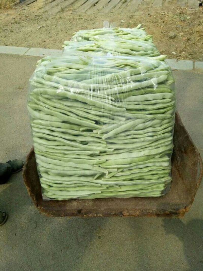九粒白芸豆，新开园，质量好