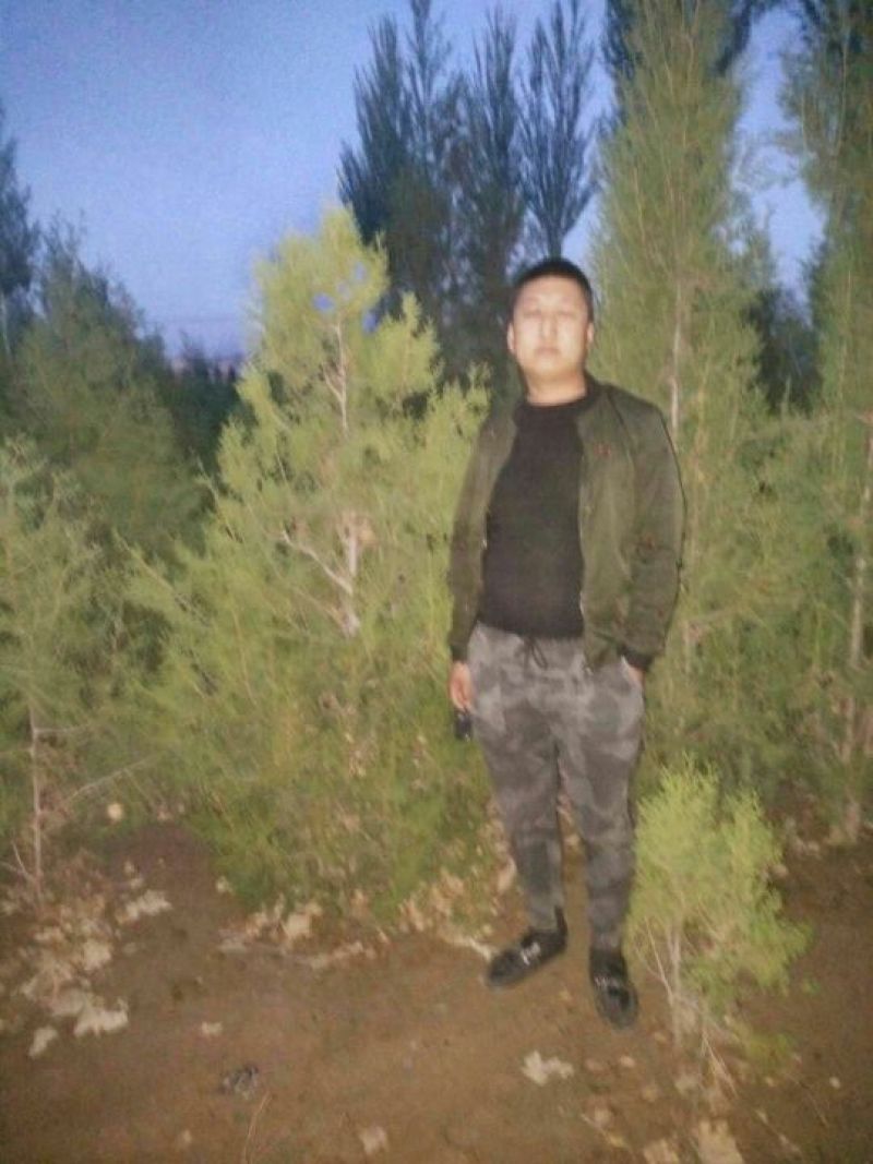 侧柏4cm以下