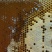 土蜂蜜10斤