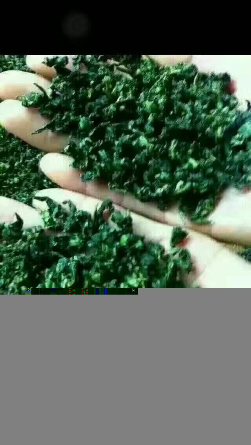 铁观音特级