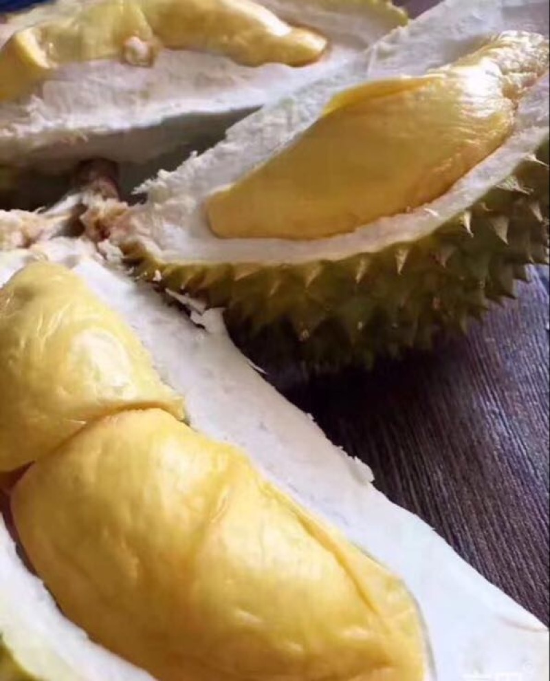 泰国榴莲金枕头