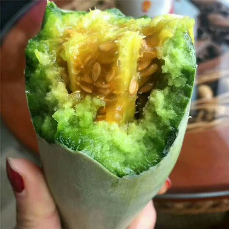 博洋61甜瓜0.5斤以上统货