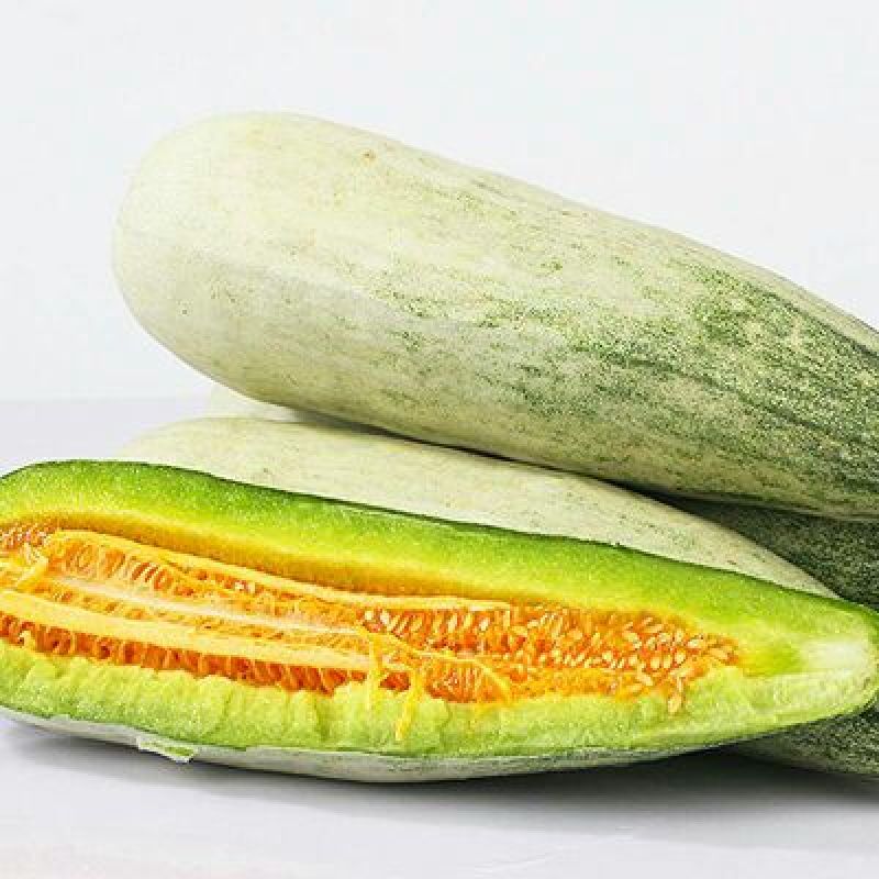 博洋61甜瓜0.5斤以上统货