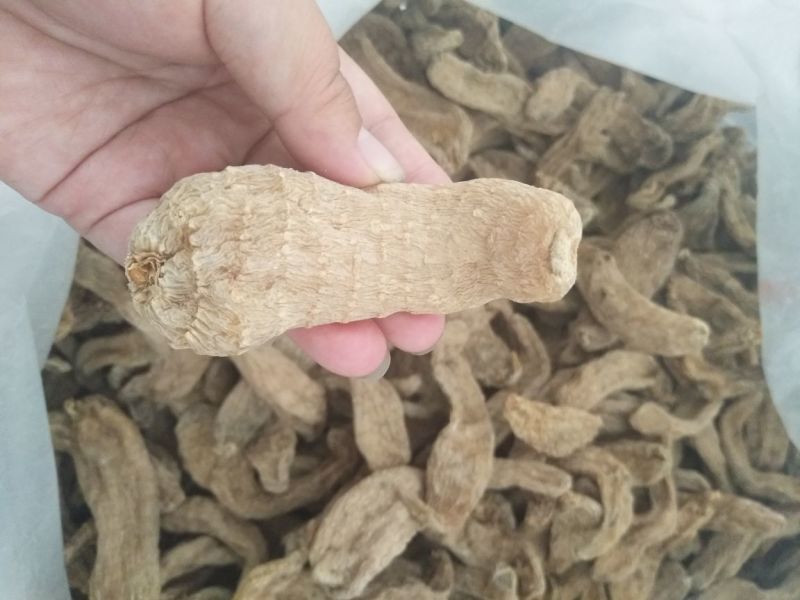 野生天麻统货