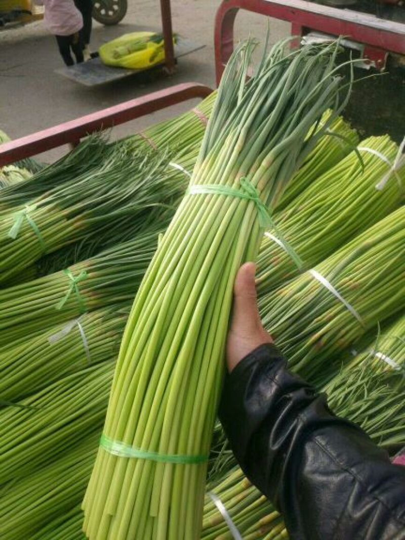 ，红冒蒜薹，杂交蒜薹，干薹不泡水，共应电商平台，