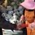 松花菜2~3斤散花乳白