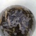 小龙虾食用4-6钱（20-30克）活虾稻田套养