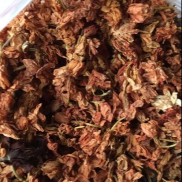 罗汉果花
