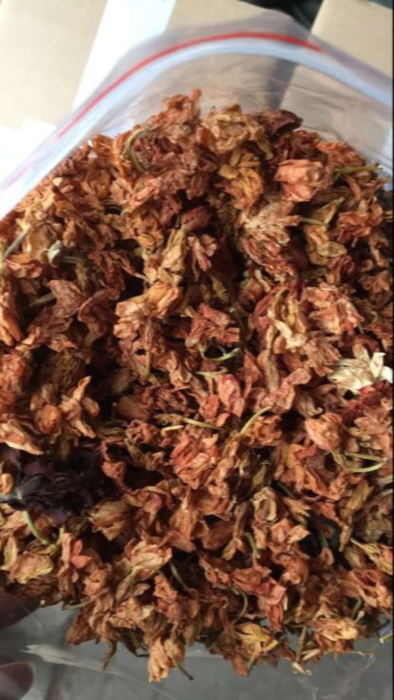 罗汉果花