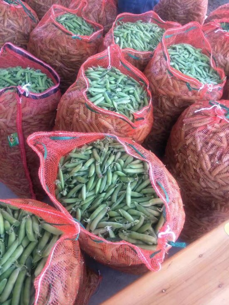 豌豆荚7~8cm饱满