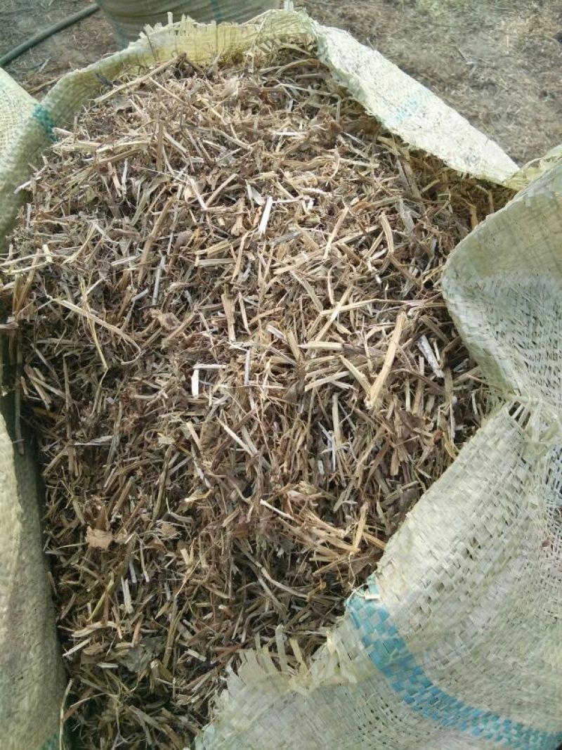 羊草干