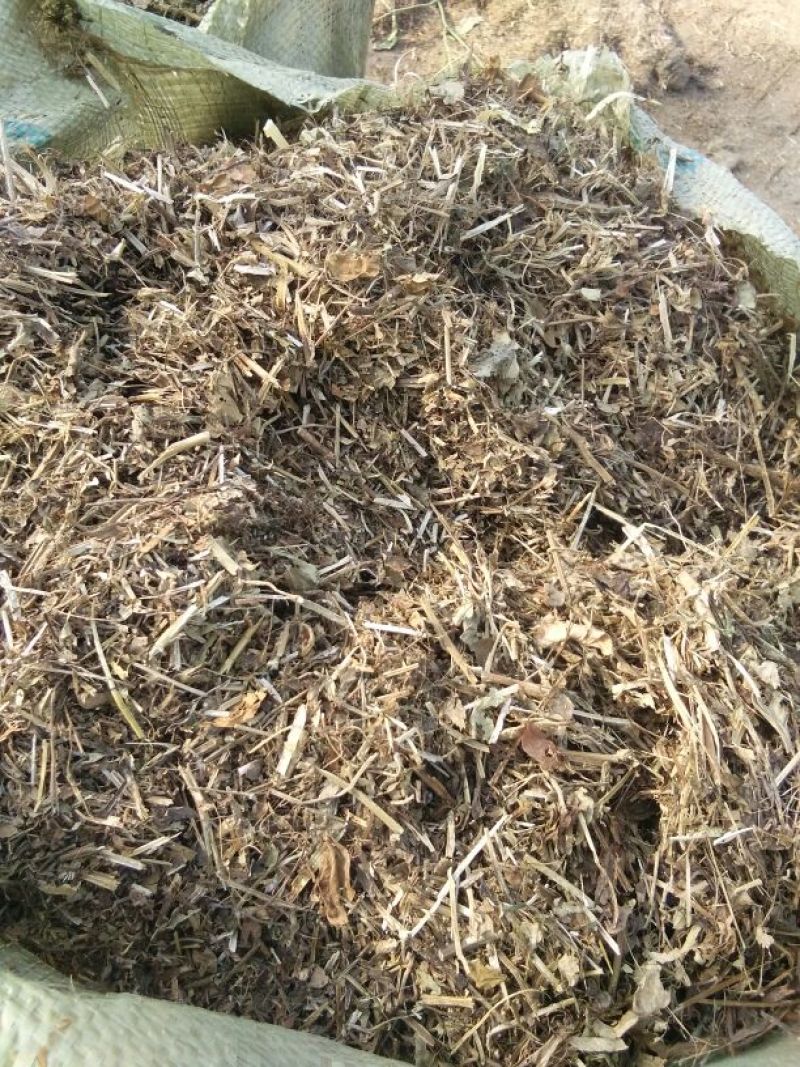 羊草干