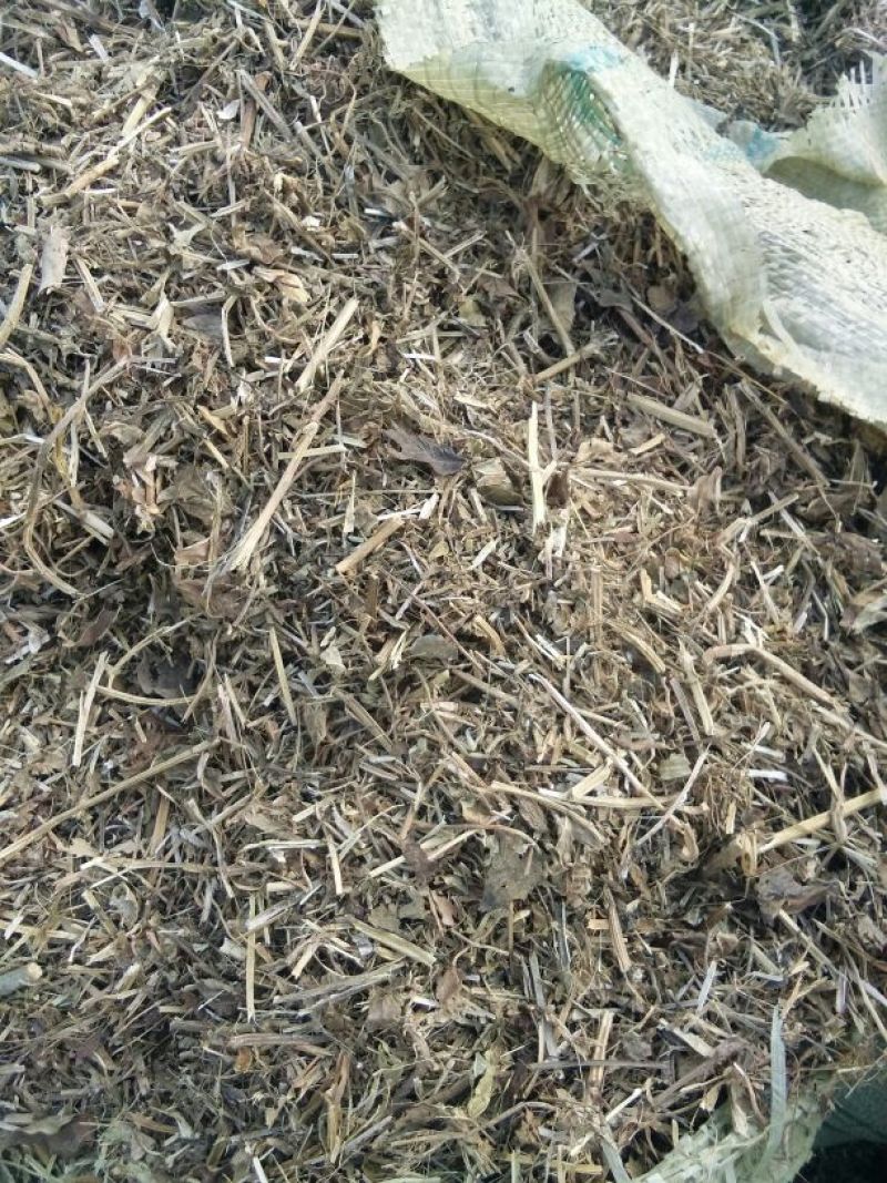 羊草干