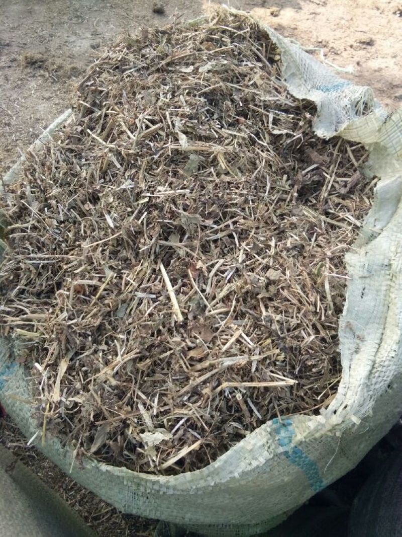 羊草干
