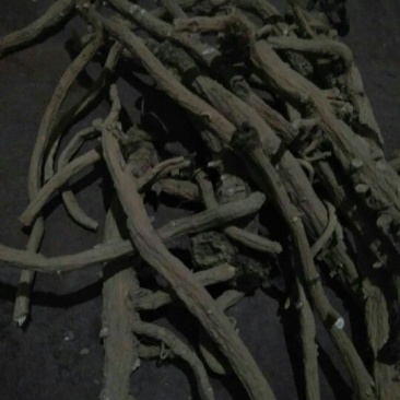 板蓝根统个