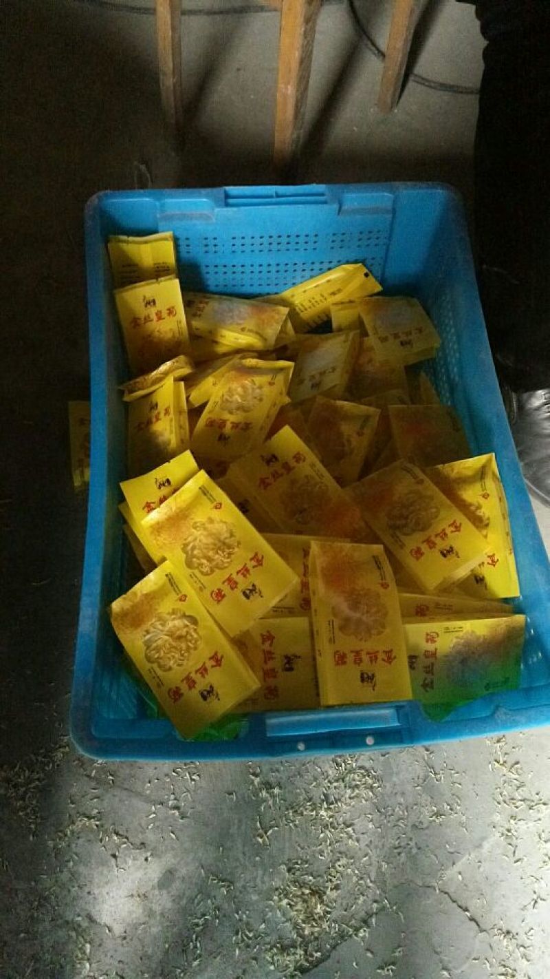 黄山高山金丝皇菊