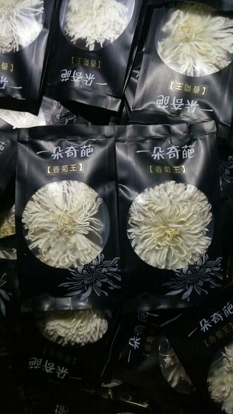 黄山高山金丝皇菊