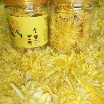 黄山高山金丝皇菊