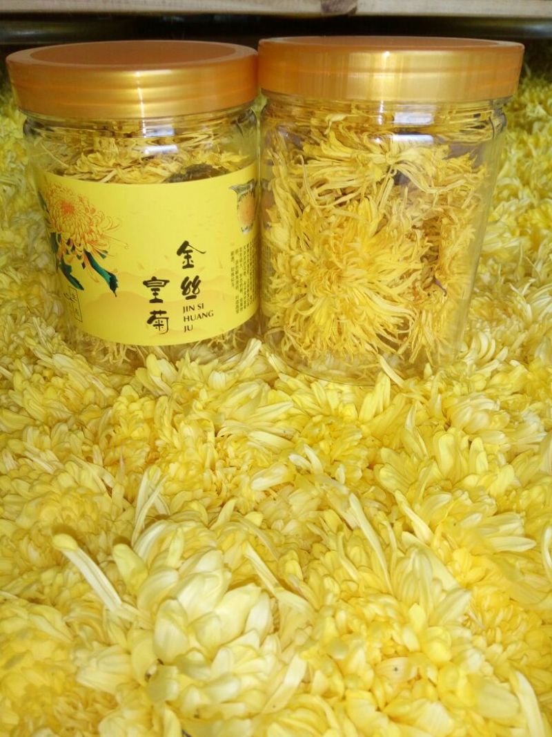 黄山高山金丝皇菊