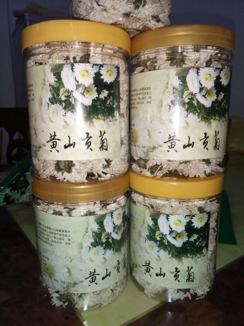 黄山高山金丝皇菊