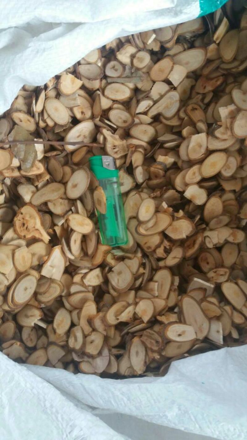 桂枝中斜片