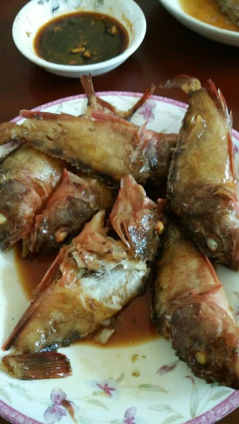 老虎斑鱼