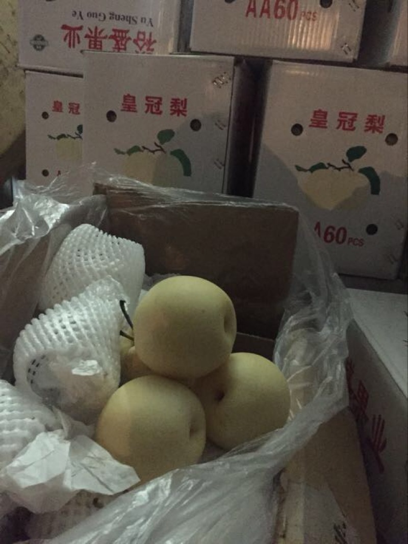【实力皇冠梨河北赵县皇冠梨量大从优，可供各大市场超市