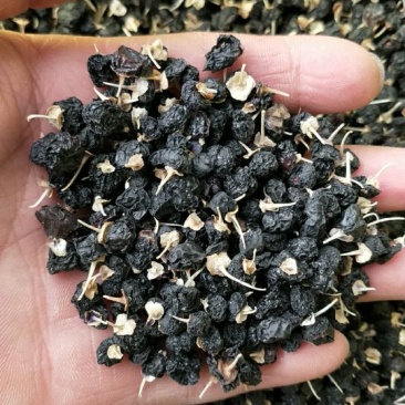 黑枸杞头茬干货
