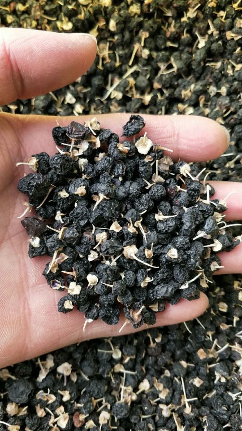黑枸杞头茬干货