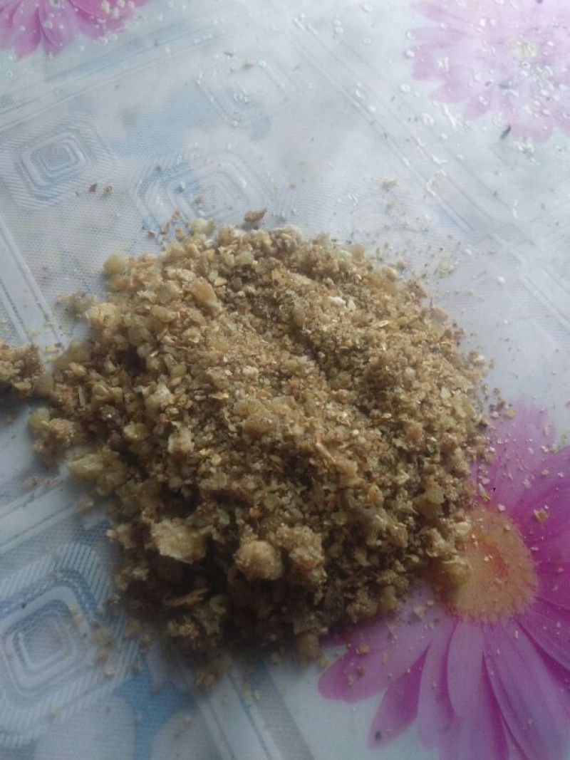 饲料3个月